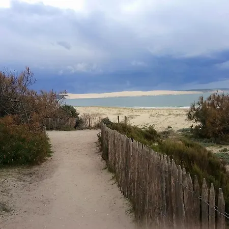 Cote Pinede Arcachon